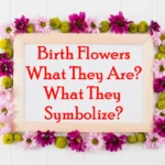 Birth Flowers