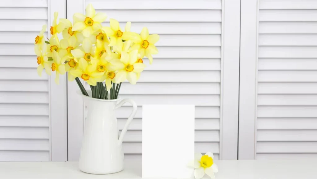 March Birth Flowers - Daffodil