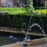 Misleading Myths about Water Features