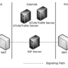 STUN-TURN-ICE in skype for business server environment