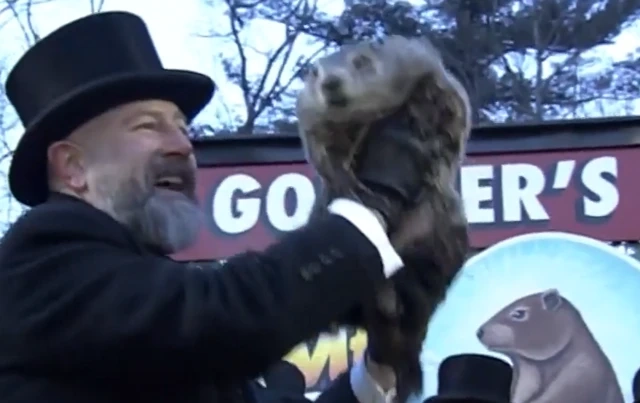 Punxsutawney Phil perched on a stump at Gobbler’s Knob Image Source BBC